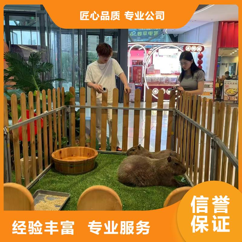 关于饲养员的小知识