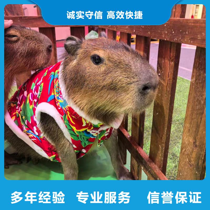 饲养员质量有保障的厂家