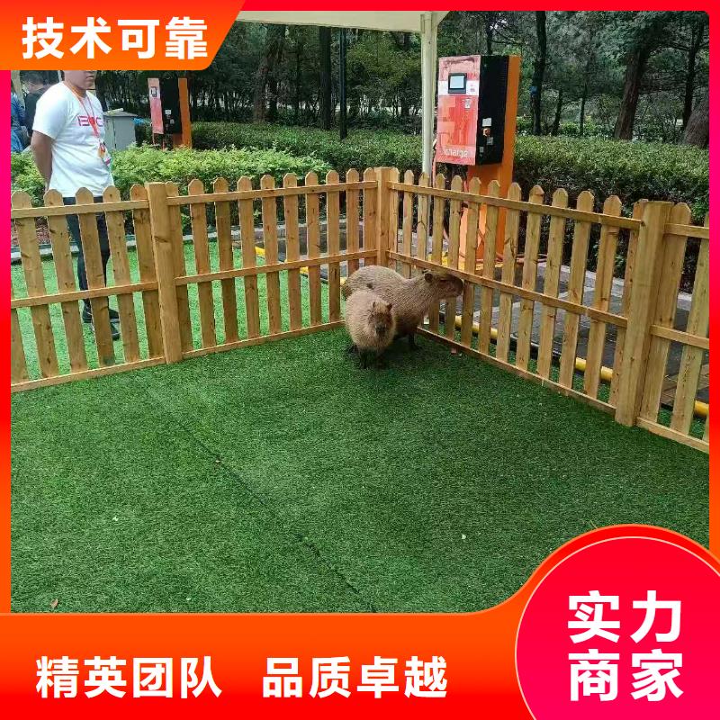 关于饲养员的小知识