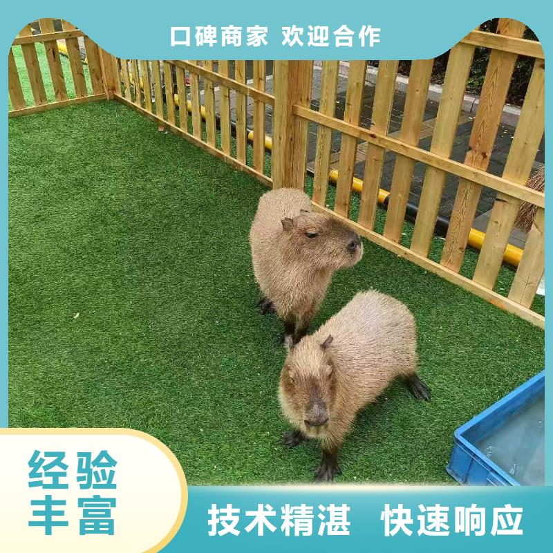 专业生产制造商场暖场活动