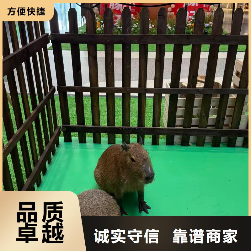 租赁资质核查-租赁资质核查畅销