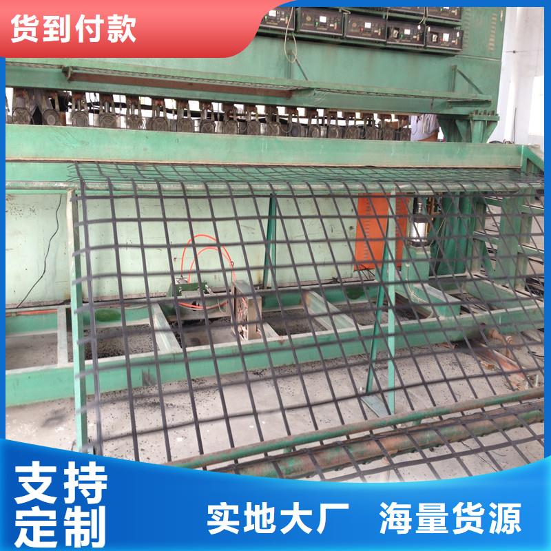钢塑格栅价格行情