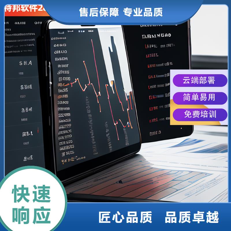 软件【管家婆进销存软件】专业品质