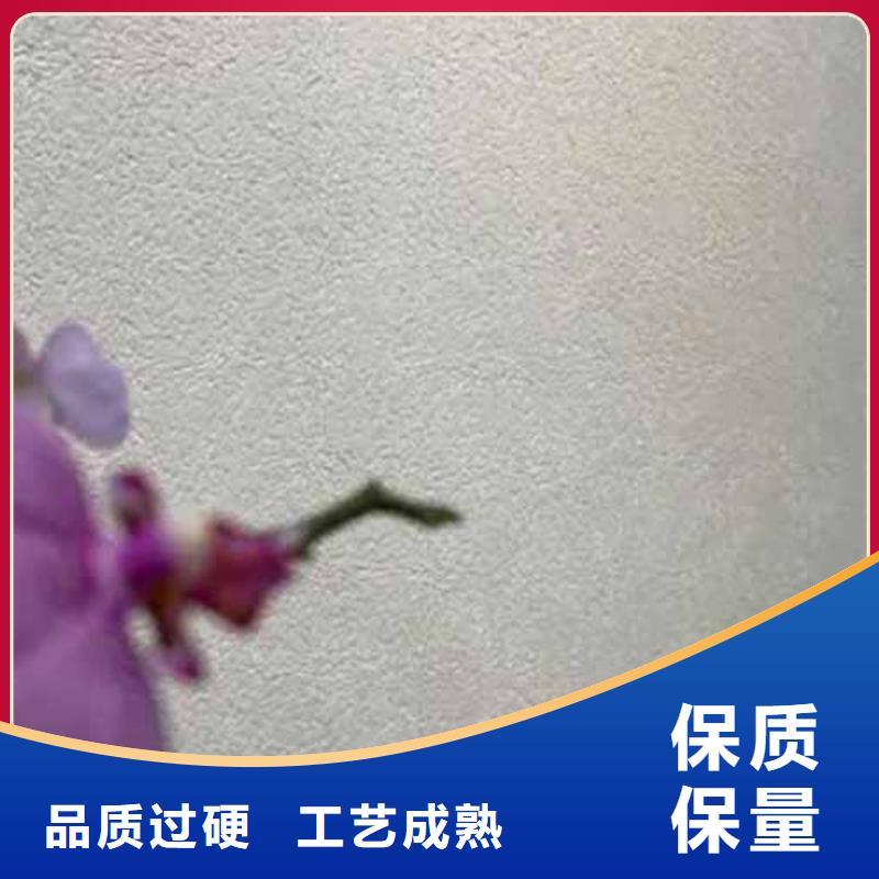 室内雅晶石团队艺术漆