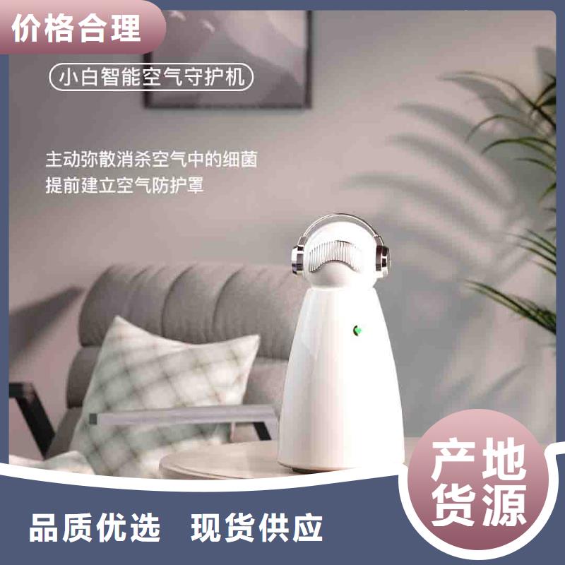 小白孕妇空气守护机小白祛味王海量库存