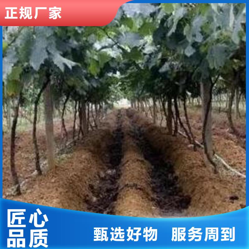 稻壳鸡粪活性土壤
