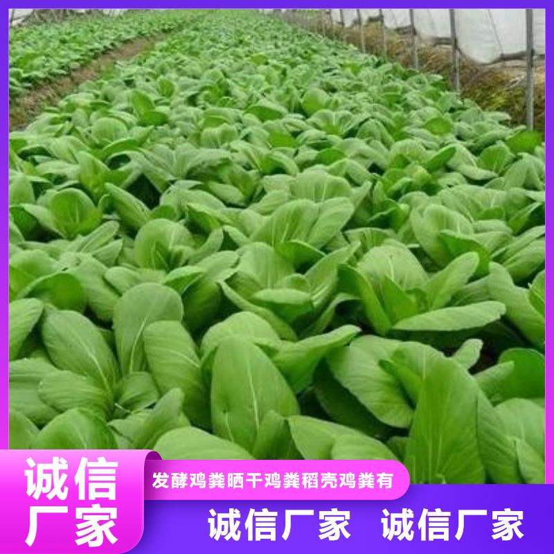 稻壳鸡粪活性土壤