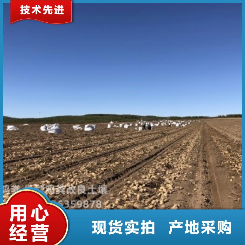 稻壳鸡粪活性土壤
