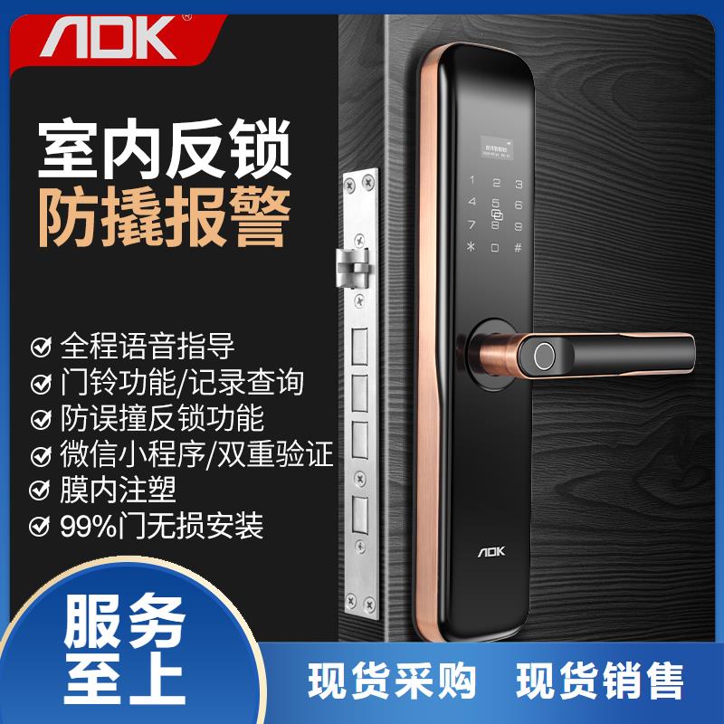 智能锁指纹锁批发品牌大厂家