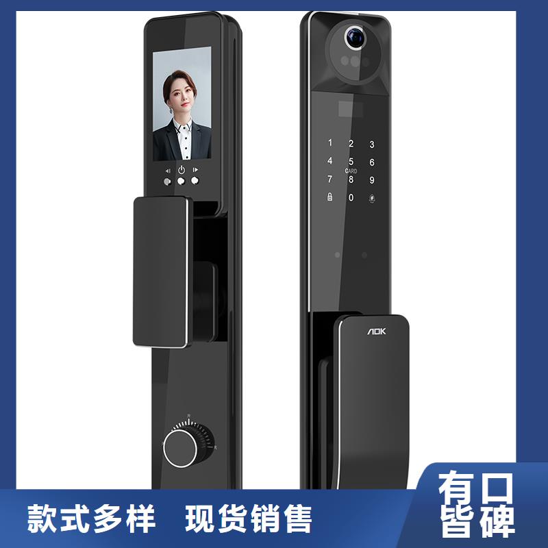智能锁指纹锁批发品牌大厂家