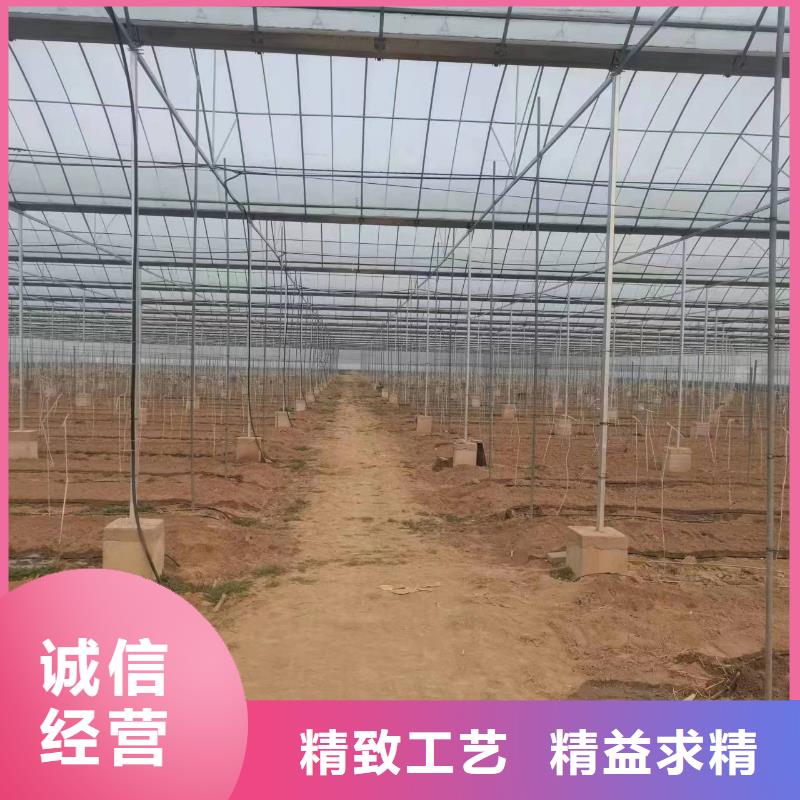 温室大棚光伏支架经销商