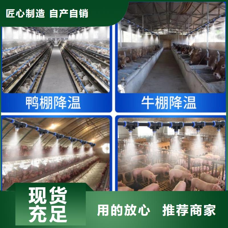 现货供应屠宰场消毒设备_批发屠宰场消毒设备