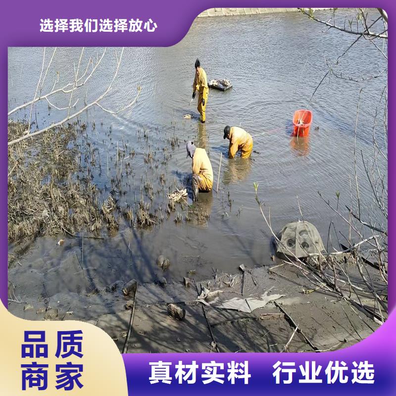 荷花苗养护服务-荷花苗养护服务售后保障