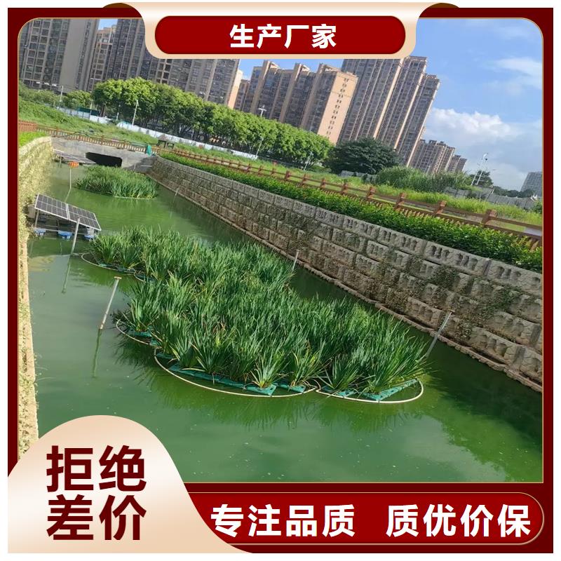 水域浮岛专业厂家直销