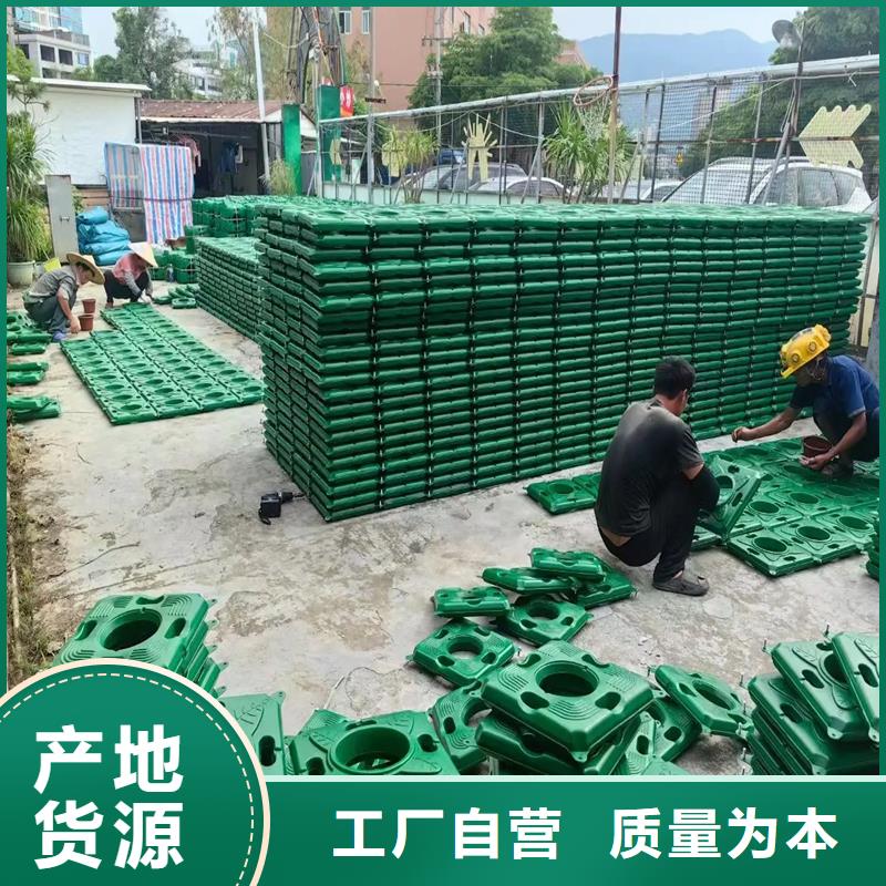 现货供应_浮床价格品牌:荷景园林绿化工程有限公司