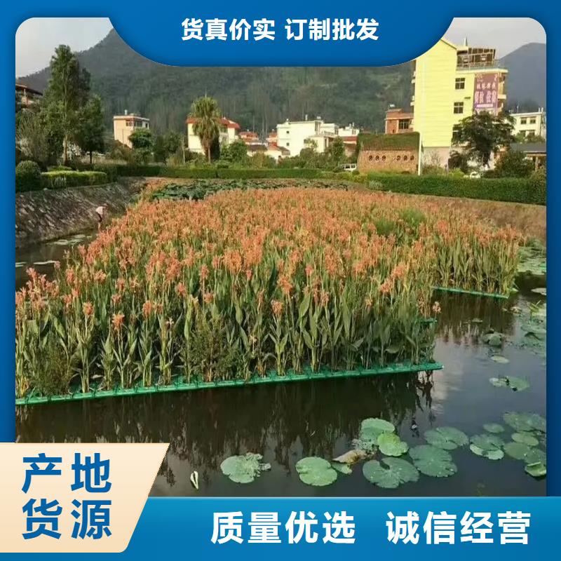 批发水生植物浮岛_优质厂家