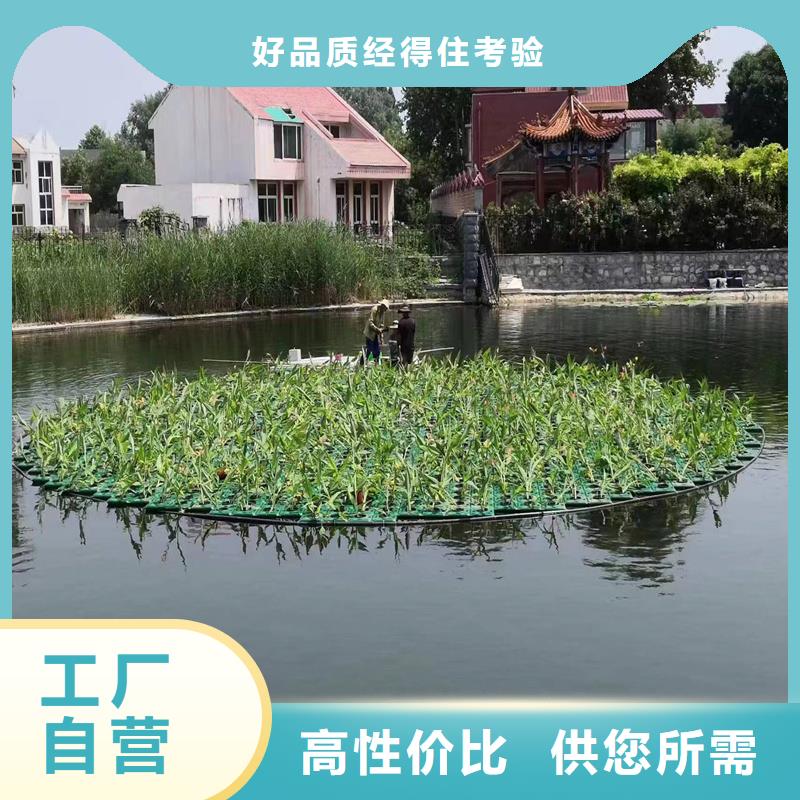 人工浮岛 人工浮岛价格