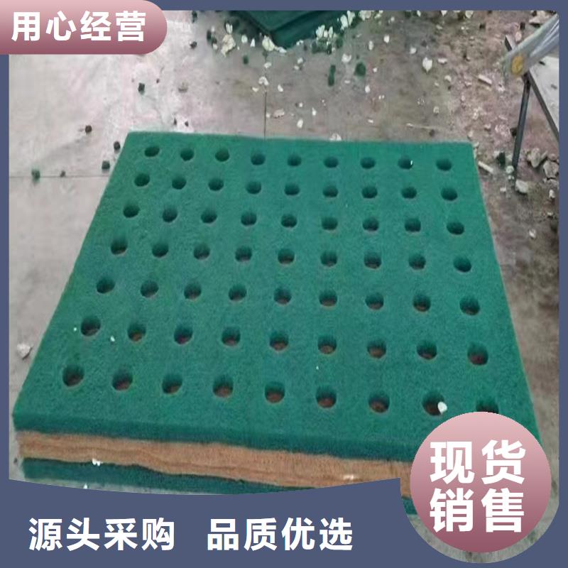 水域浮岛制作商