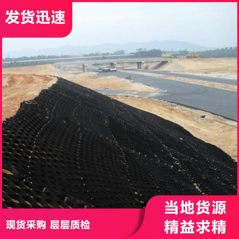 HDPE土工格室量大价优