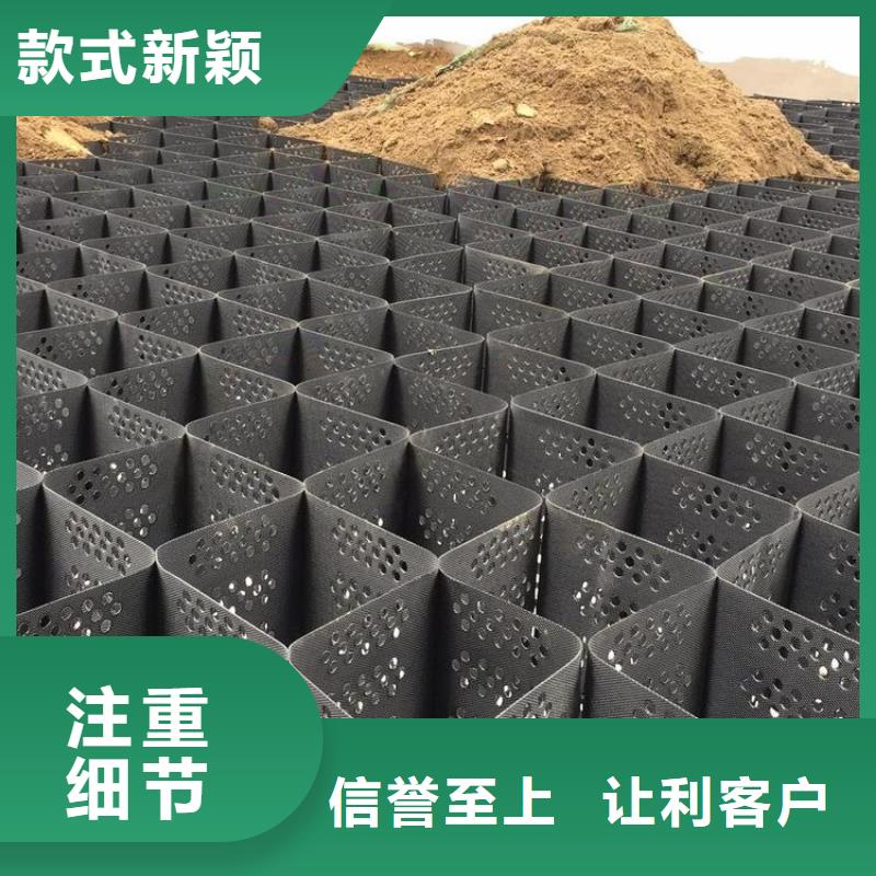 土工格室工厂直销