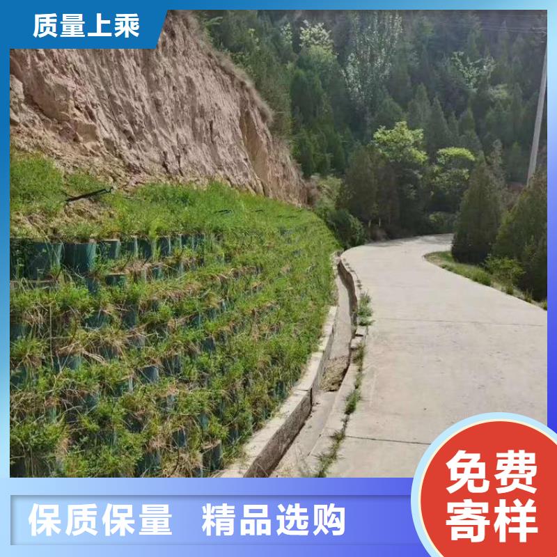 打孔土工格室全国发货