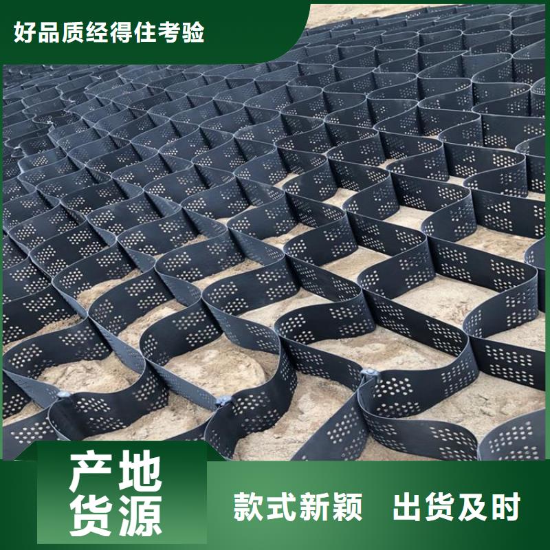 打孔土工格室全国发货