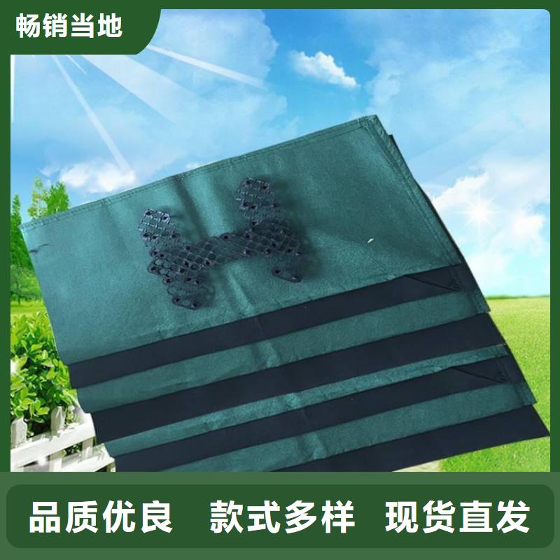 草籽生态袋全国发货
