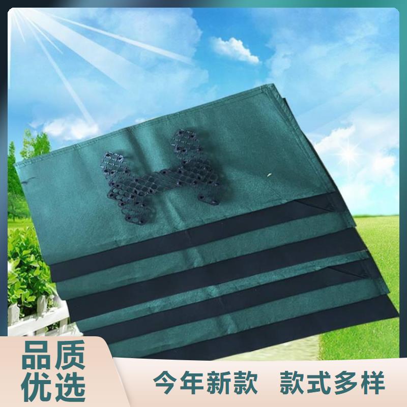 生态袋厂家工厂直销