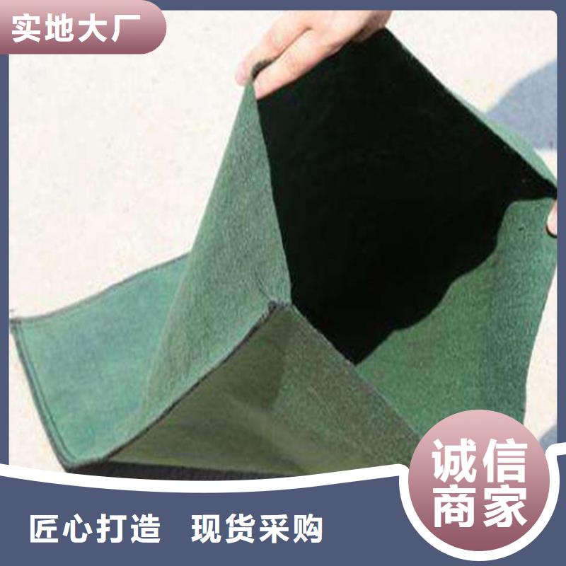 植生袋现货供应