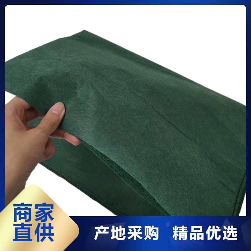 丙纶生态袋生产厂家