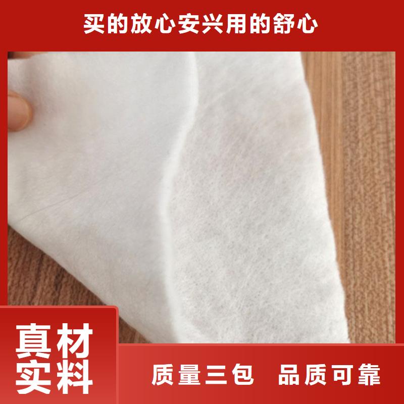 聚酯无纺布免费咨询