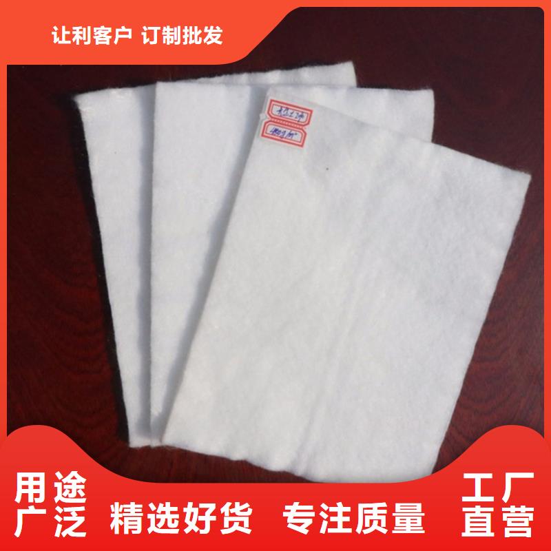 复合土工膜全国发货