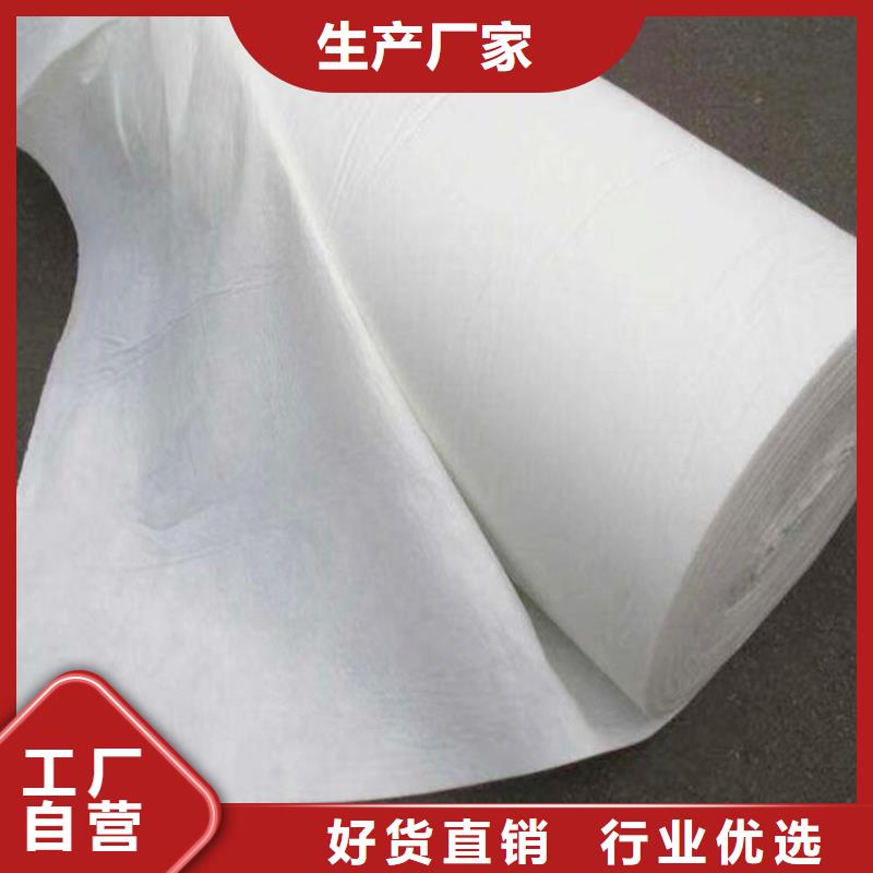 聚酯无纺布工厂直销