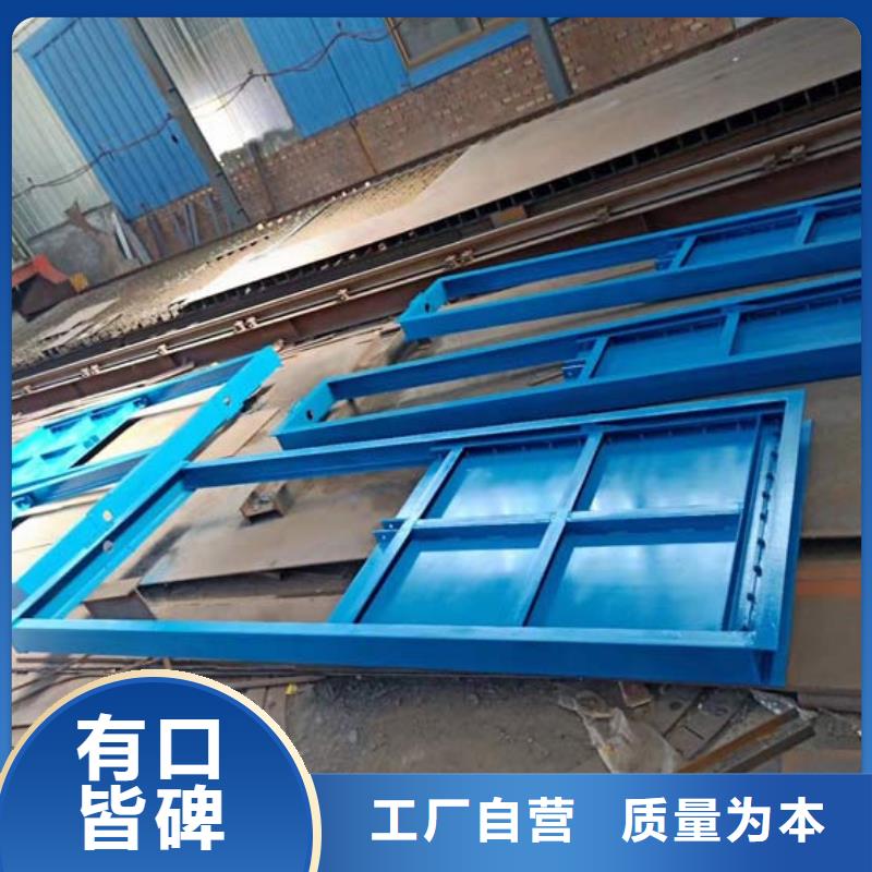 钢制闸门钢制闸门用心经营