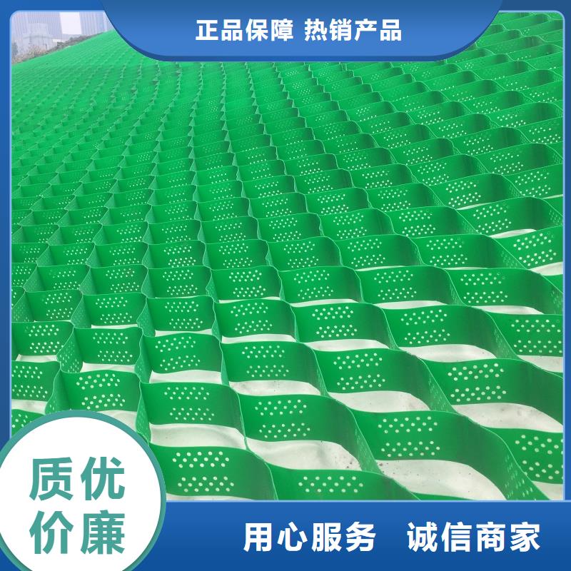 土工格室蜂巢格室厂家按需设计