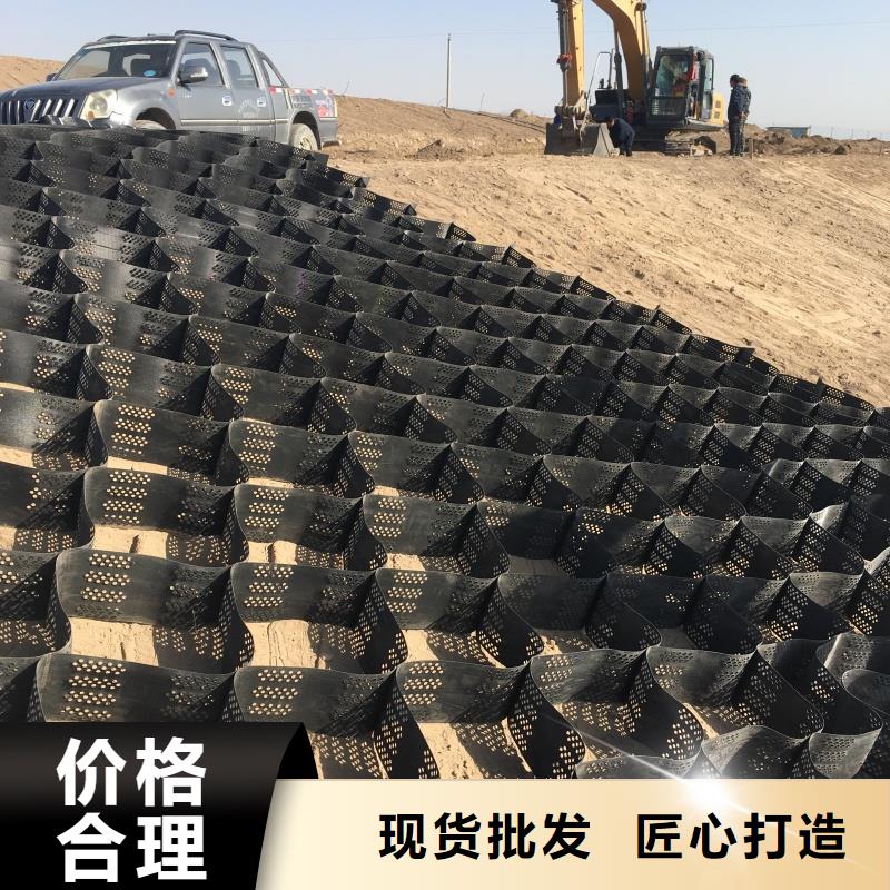 土工格室高分子复合金蜂巢优选厂商