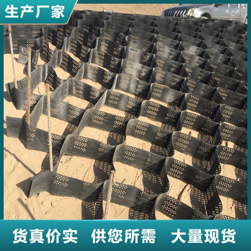 土工格室_高模量蜂巢格室敢与同行比价格