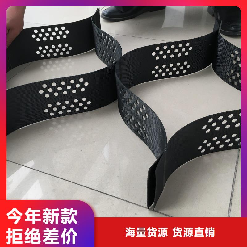 土工格室高模量蜂巢格室 出厂价