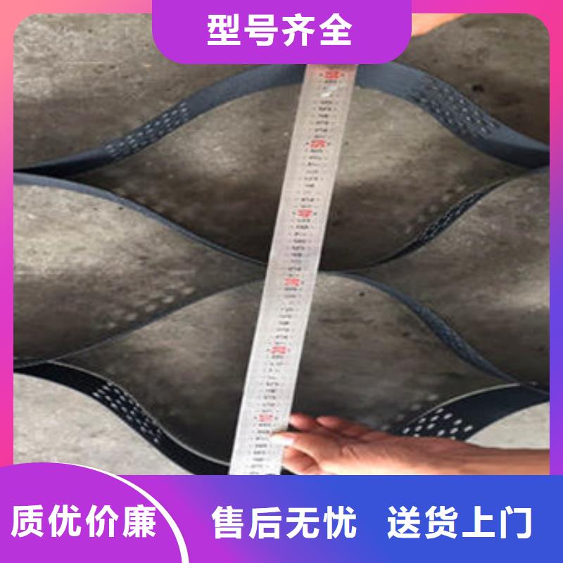 土工格室蜂巢格室哪有卖一周内发货