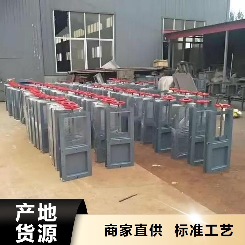 钢制闸门现货价格