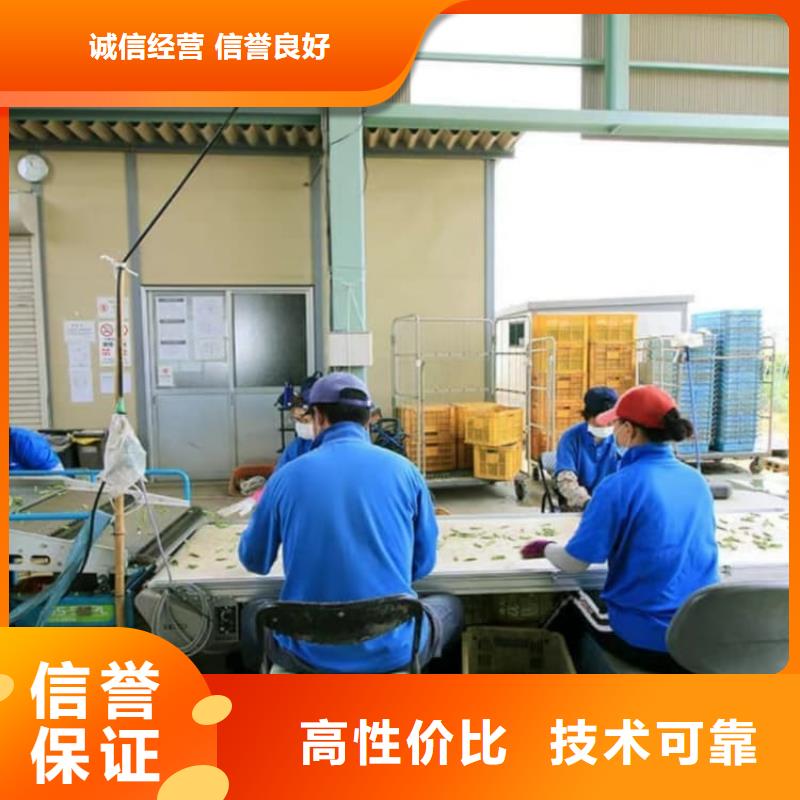 招木工招工持证上岗
承润