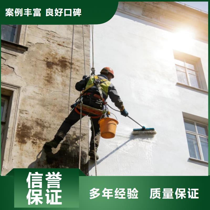 蜘蛛人高空作业防水堵漏专业