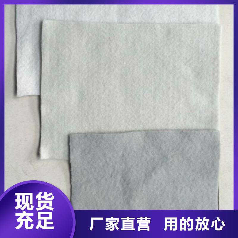 土工布长丝纺粘土工布品质服务诚信为本