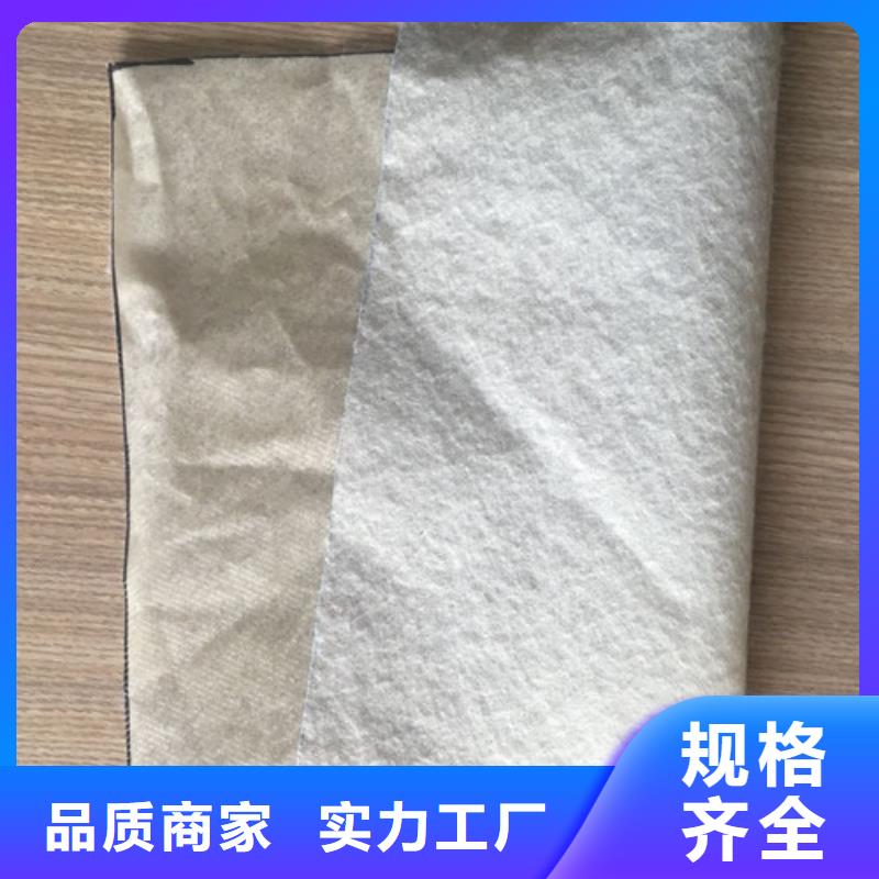 土工膜复合防渗土工布品牌企业