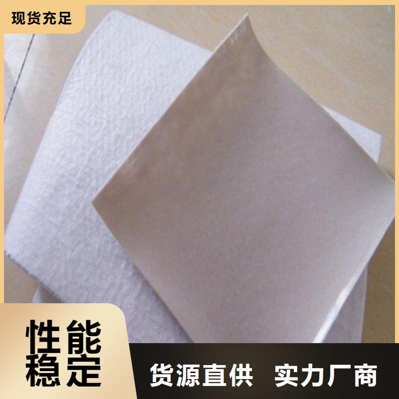 土工膜屋顶绿化防渗土工膜敢与同行比服务