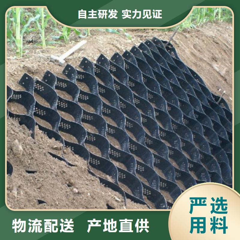 土工格室护坡土工格室优质材料厂家直销