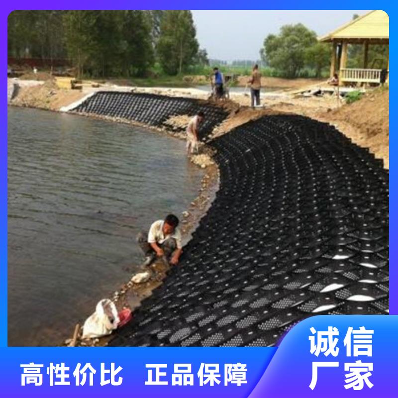 土工格室-土工网格品质保障售后无忧