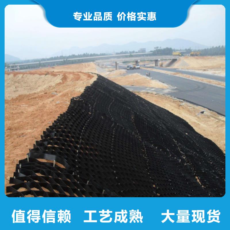 土工格室,蜂窝土工网格供您所需