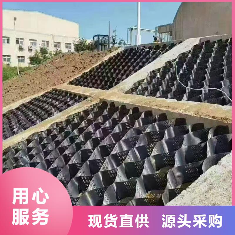 土工格室,蜂窝土工网格供您所需