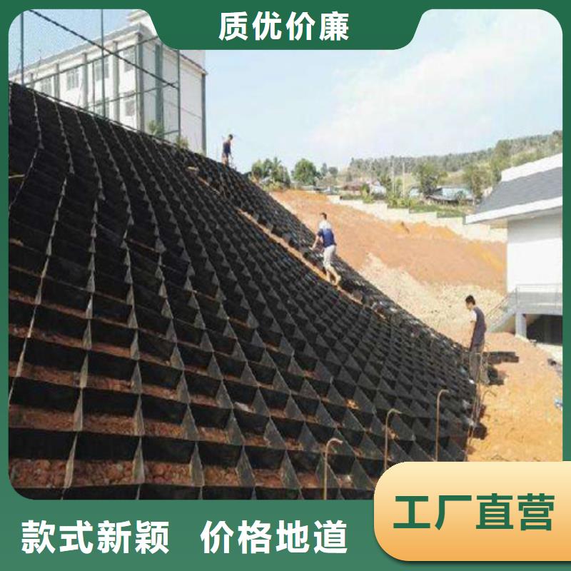 土工格室焊接土工格室厂家直销省心省钱